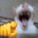 emoji_22 emote