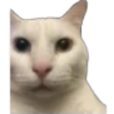 mado emote