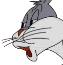 sj emote