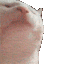 1551catjamfasterthanever emote