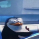 20260511000210 emote