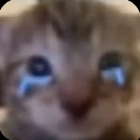 __ emote