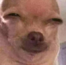 44 Emote