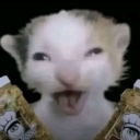 domixi Emote