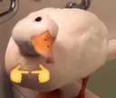 8Ducky emote