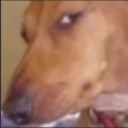 SideEye Emote