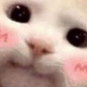 z_cute emote
