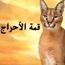 emoji_13 Emote