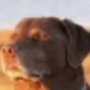 emoji_8 Emote