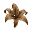 nf2u_necro15 emote