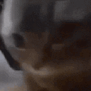 chipichapa Emote