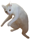 catstance emote