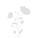 2bouquet Emote
