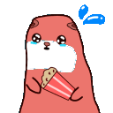 soonerrakko emote