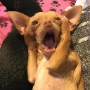 emoji_32 emote