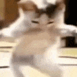 tmr_hilao Emote