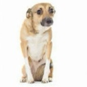 help Emote