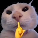 shush emote