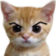 Angry_kitty Emote