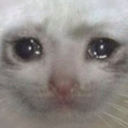 sadcat Emote
