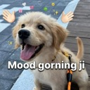 emoji_104 emote
