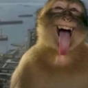 emoji_5 emote
