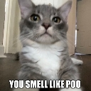 emoji_45 Emote