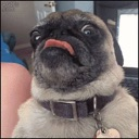 emoji_6 emote