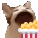 popcorn_cat emote