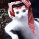 CatA7lf emote
