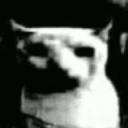 CatDespair emote