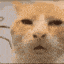 emoji_17 Emote
