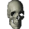 spinningskull emote