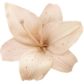 0_flower Emote