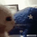 418102bollocks emote