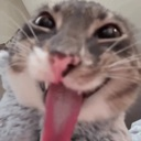 emoji_18 emote