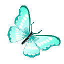 ButterflyAqua2 emote