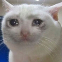 sad emote