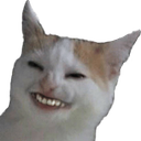 teef emote