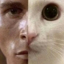 killer_and_kot Emote