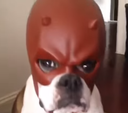 LGA emote