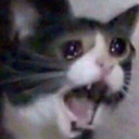 no emote