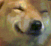 dog_smile emote