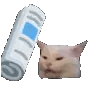 catbonk emote