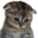 emoji_151 emote
