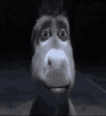 donkeystare emote