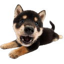 HAP_LAY emote