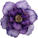 purple emote