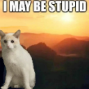imaybestupid Emote