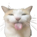 c_silly emote